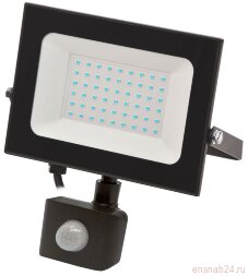 Прожектор светодиодный СДО 06-50Д 6500К IP54 с ДД черн. IEK LPDO602-50-65-K02