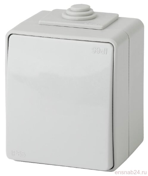  Выключатель IP65, 10АХ-250В, 11-1601-03,ОУ, Эра Эксперт, Серый | Б0035972 | ЭРА (Электромонтажные материалы) 