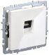  BRITE Розетка компьютерная RJ45 кат.5E РК10-БрБ белый без шторок | BR-K10-1-K01 | IEK (Электромонтажные материалы) 