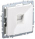  BRITE Розетка компьютерная RJ45 кат.5E РК10-БрБ белый без шторок | BR-K10-1-K01 | IEK (Электромонтажные материалы) 