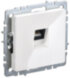  BRITE Розетка компьютерная RJ45 кат.5E РК10-БрБ белый без шторок | BR-K10-1-K01 | IEK (Электромонтажные материалы) 