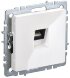  BRITE Розетка компьютерная RJ45 кат.5E РК10-БрБ белый без шторок | BR-K10-1-K01 | IEK (Электромонтажные материалы) 
