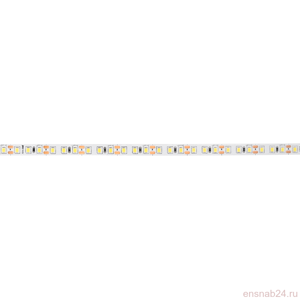 Лента светодиодная LED PLS 2835/120 12Вт 12В 6500К IP20 5м | 2859051 | Jazzway (Электромонтажные материалы) 